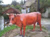 boeuf5.JPG (293980 octets)